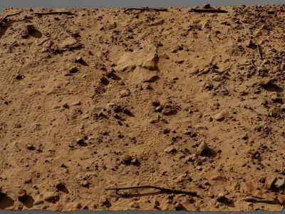 Ground01  3D model