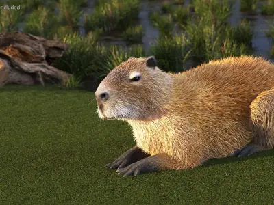  Capybara Fur Rigged 
