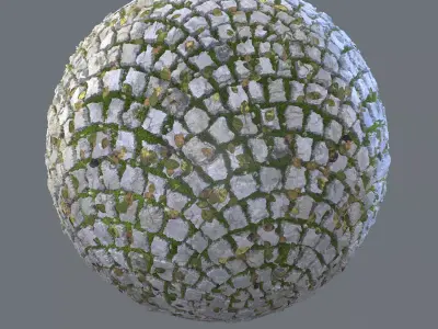 Pavement with leafs moss and twigs  Texture