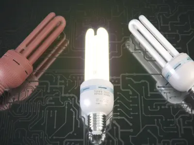 Energy saving light bulbs  3D model