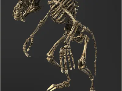 Ratkin Skeleton Light Version Low-poly 3D model
