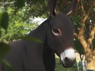  Domestic Donkey Animal Dark Brown Rigged for Maya 