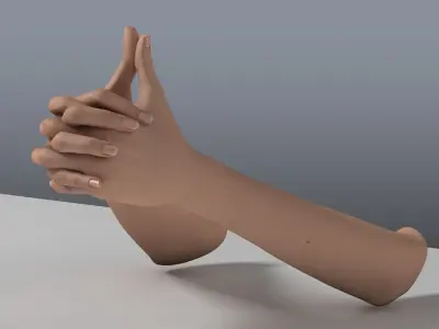  Rigged and Animated Hands (Female) 