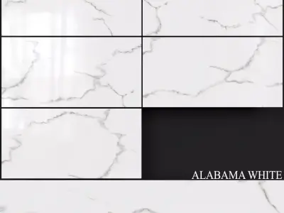 Decovita Alabama White 600x1200 3D model
