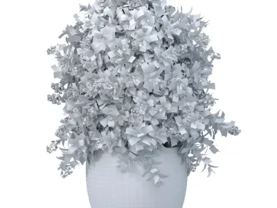 Decorative flowering garden evergreen tree Oleander shrub vase 3D model