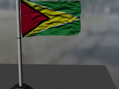 Guyana flag 3D model