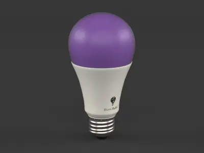 Led Light Bulbs 3D model