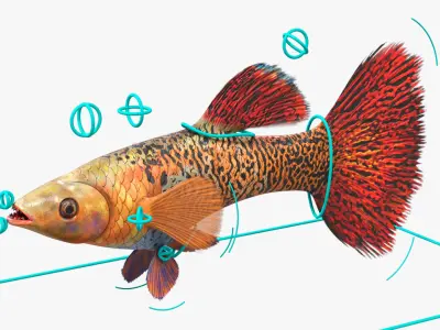  Rigged Freshwater Fish Collection 2 