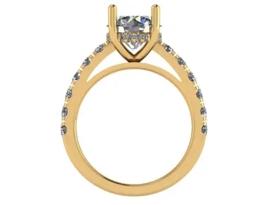 Round shape ring with hidden halo and pave on shank 3D print model