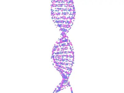 DNA Molecule v4 008 3D model