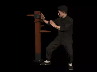 Wing Chun  3D model