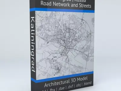 Kaliningrad Road Network and Streets 3D model