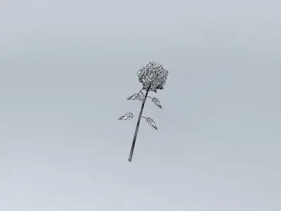 Single Rose Flower Free 3D model