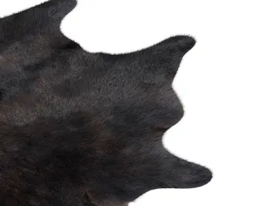 Animal skin rug 10 3D model