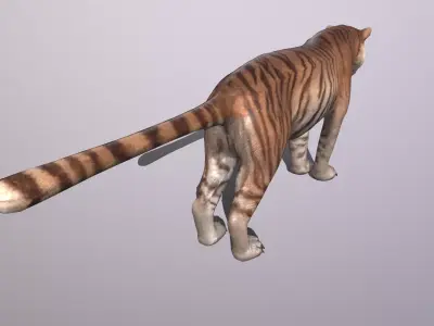 tiger Low-poly 3D model