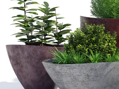 Dune series 3D model