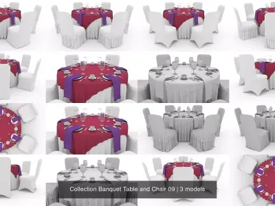 Collection Banquet Table and Chair 09 3D Model Pack
