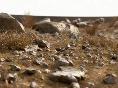 Gobi Desert Wild Grass Survival Ground 3D model