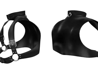 Mens Harness Collar Low-poly 3D model