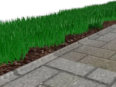 Walk Path With Grasses 3D model