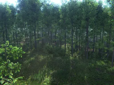 Nature Package - Forest Environment Unity Low-poly 3D model
