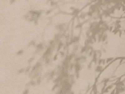  Plaster 08 - Seamless Texture