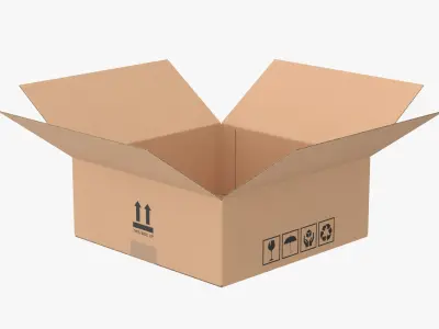  Cardboard Box Half Open Bundle 