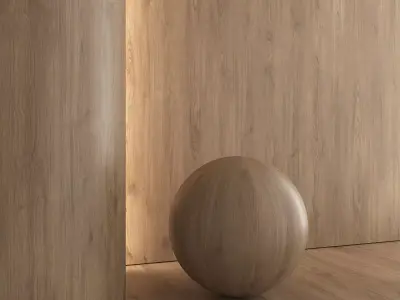 Oak Natural Warm 4 Textures Set 01 Texture