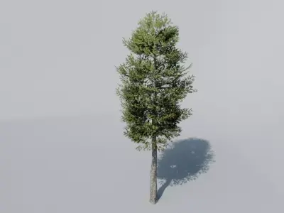 Low Poly Tree Pack Low-poly 3D model buy