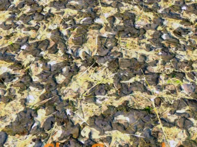 Seamless PBR Textures  Free 3D model