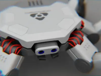 Spider Combat  rigged 3D model