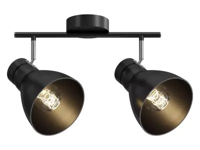 Paulmann Davy ceiling light 3D model
