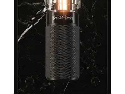 Buster and Punch Cage Wall 3D model