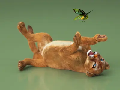  Playful Puma Cub with Butterfly Fur 