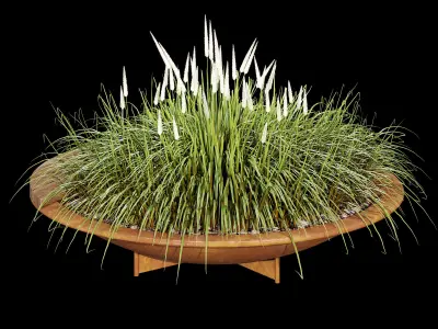 Parabel two 3D model