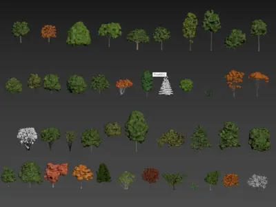 Low Poly Forest Summer Autumn Winter Stylish Low-poly 3D model