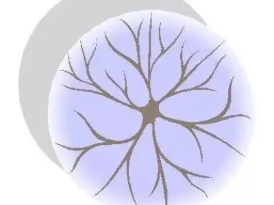 3 CAD Deciduous Trees with top views and elevations DWG 3D model