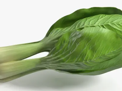  Salad Greens Collection 5 