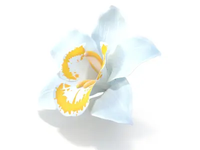  3D Flowers Collection – High-Quality 4K PBR Asset Pack | Orchids, Roses, Nymphaea &amp;amp; Lilies 