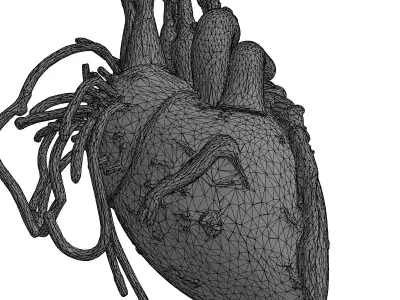 Cybernetic Biomechanical Heart 3D Model Low-poly 3D model