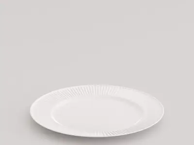 Ridges Lunch Plate Low-poly 3D model
