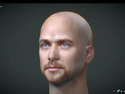 Male head Realistic Perfect Head Low-poly  Low-poly 3D model