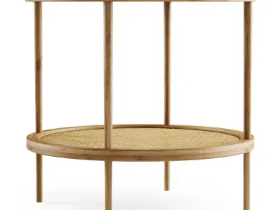 Double wooden rattan coffee table  3D model