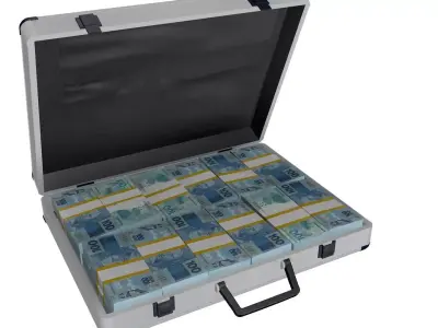 Cash bag Money editable 3D model