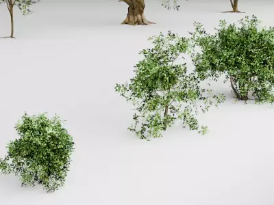 Low Poly Stylized Trees and Bushes Pack Low-poly 3D model