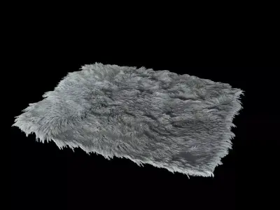 carpet Hair and fur 3D model 3D model
