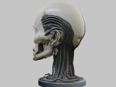 Portrait of a man HR Giger Style Human Head Bust Low-poly 3D model