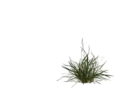 Realistic Grass Growth Pack Low-poly 3D model