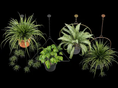 Geometric Plant Flower 3D model