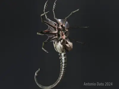 Alien Queen Facehugger PBR Low-poly 3D model